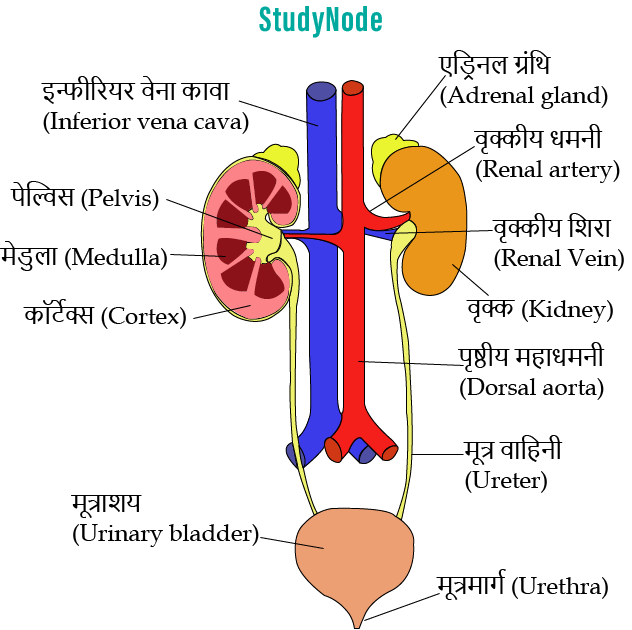 utsarji-tantra-ka-image